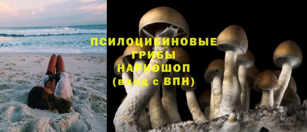 эйфоретик Алексеевка