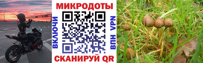 Псилоцибиновые грибы мицелий  Лесосибирск 